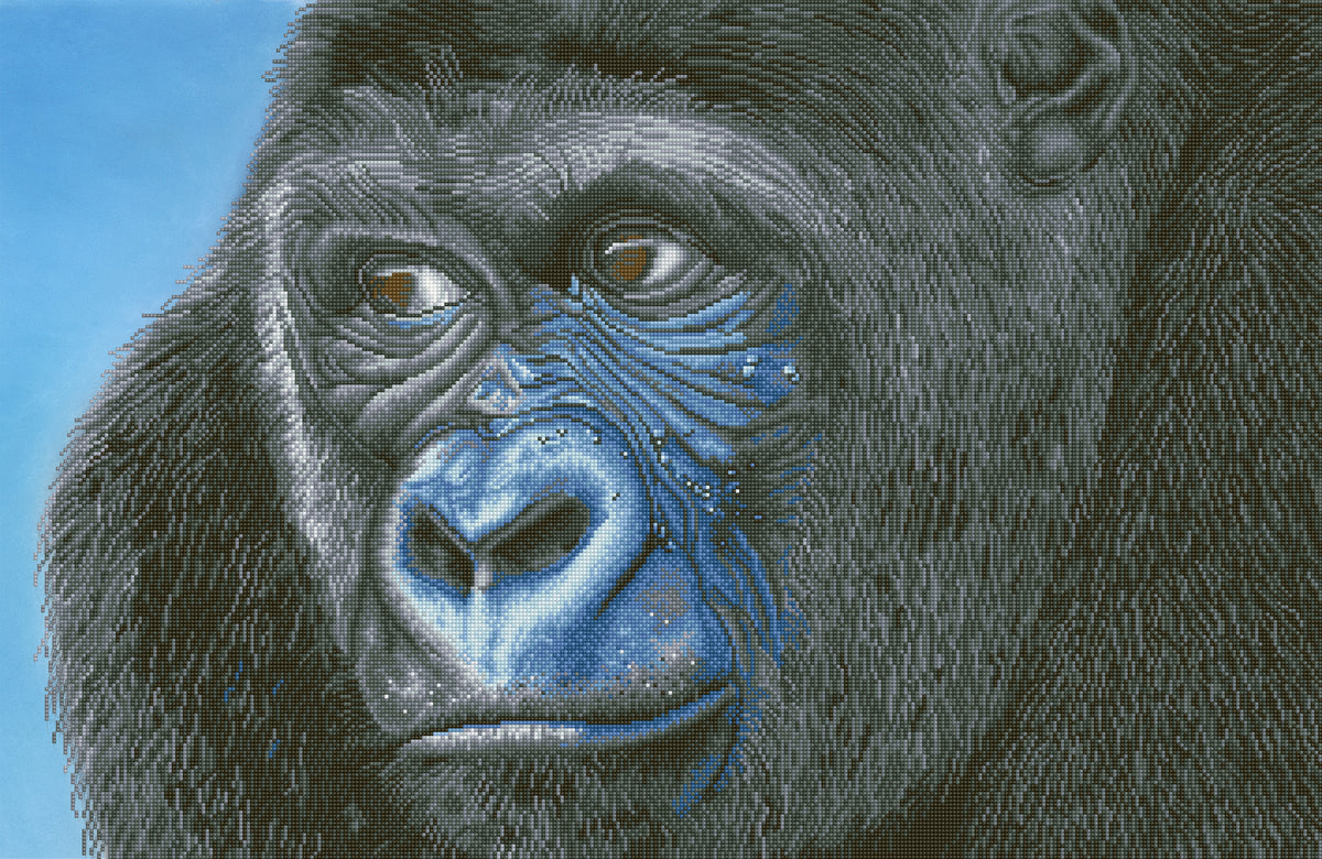 Diamond Dotz Kibali Western Lowland Gorilla diamond painting kit design