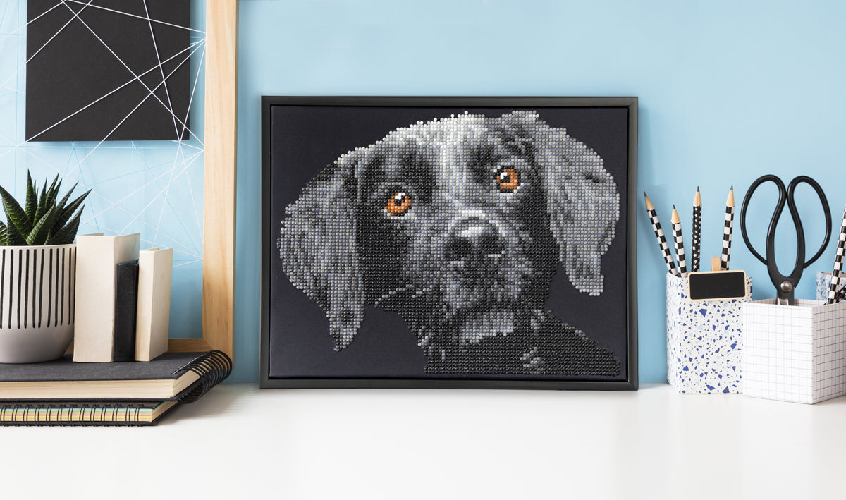 Diamond painting design of a dog portrait
