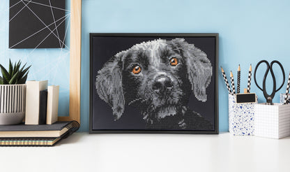 Diamond painting design of a dog portrait