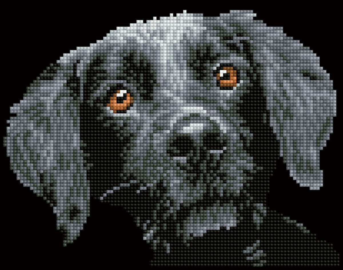 Diamond painting design of a dog portrait