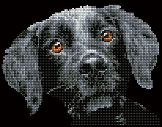 Diamond painting design of a dog portrait