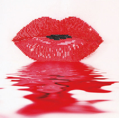 Diamond Dotz Hot Lips diamond painting kit packaging showing the finished design