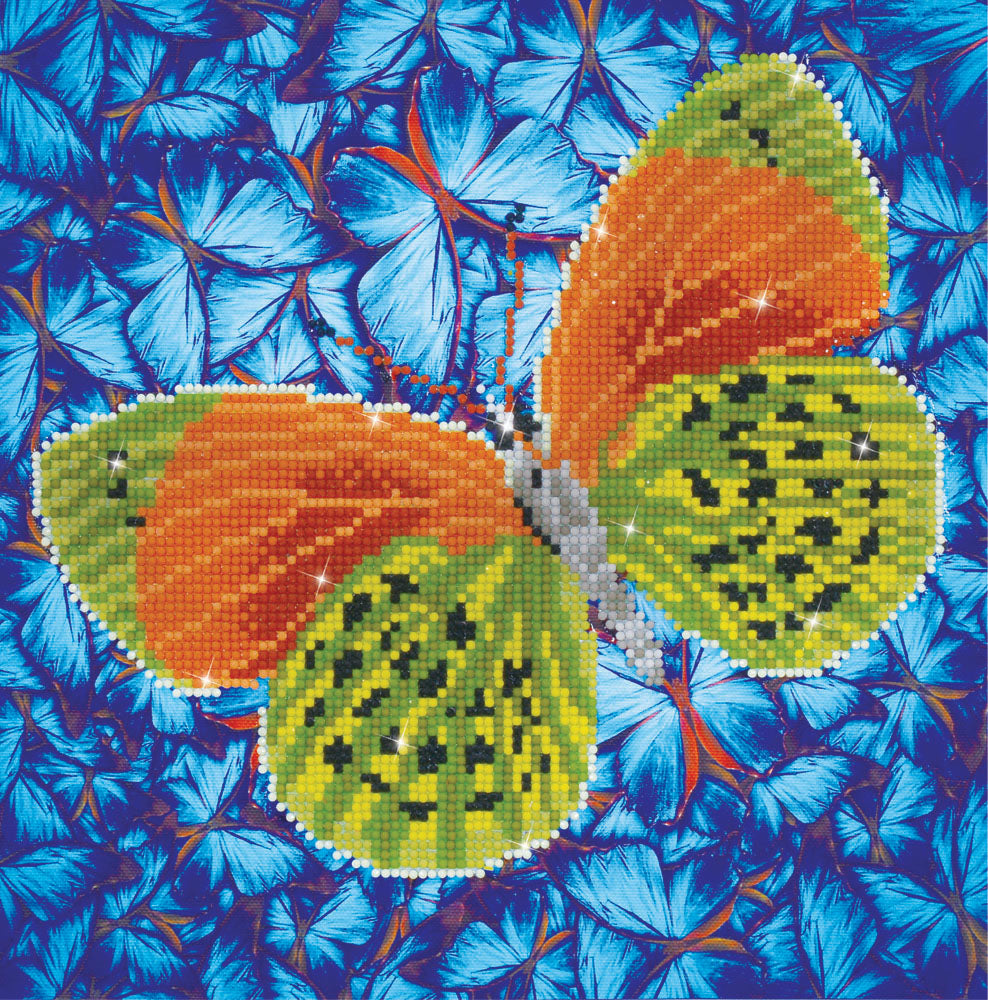 Diamond Dotz Flutterby Earth diamond painting kit packaging showing the finished design