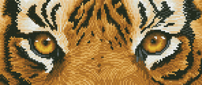 Diamond Dotz Tiger Spy diamond painting kit packaging showing the finished design