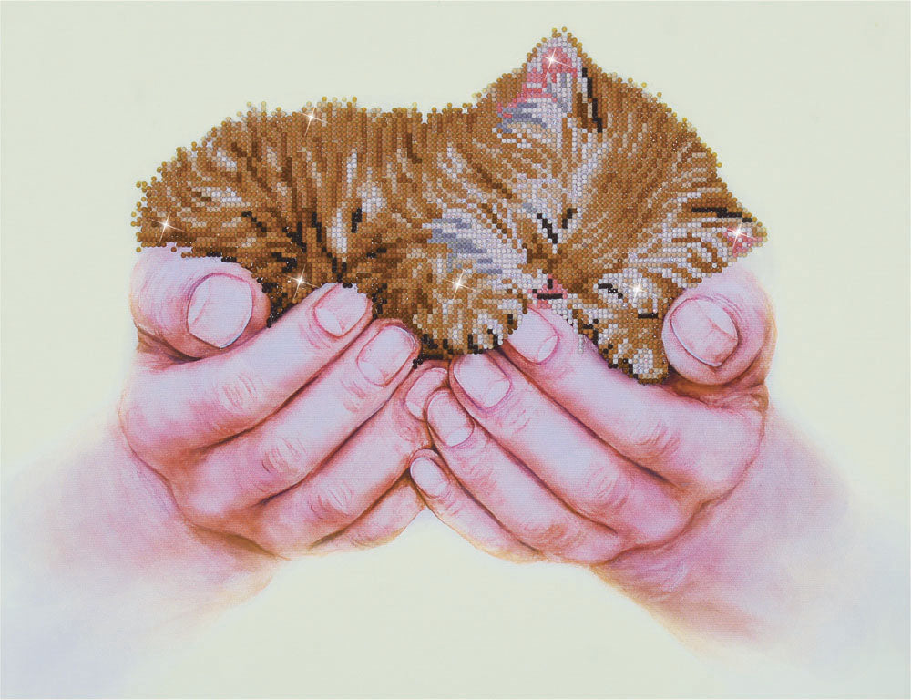 Diamond Dotz Precious Kitten diamond painting kit showing a kitten