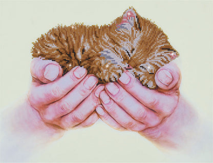 Diamond Dotz Precious Kitten diamond painting kit showing a kitten