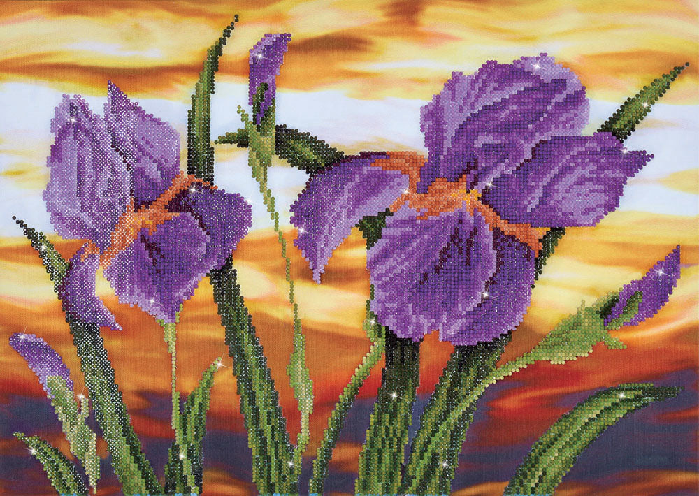 Diamond Dotz Diamond Painting Kit - Iris Sunset