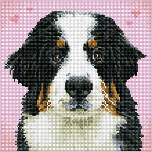 Diamond Dotz Squares Say Hello to Zuzu diamond painting design