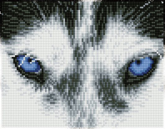 Diamond Dotz Squares Mystic Husky diamond painting design