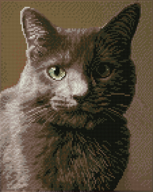 Diamond Dotz Squares Smokey diamond painting design