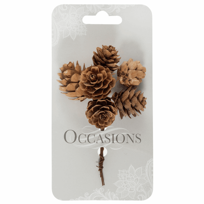 Natural Pinecone Stems on Wire (Pack of 6 Stems)