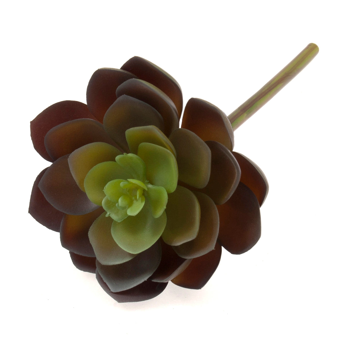Artificial green echeveria succulent on a short stem