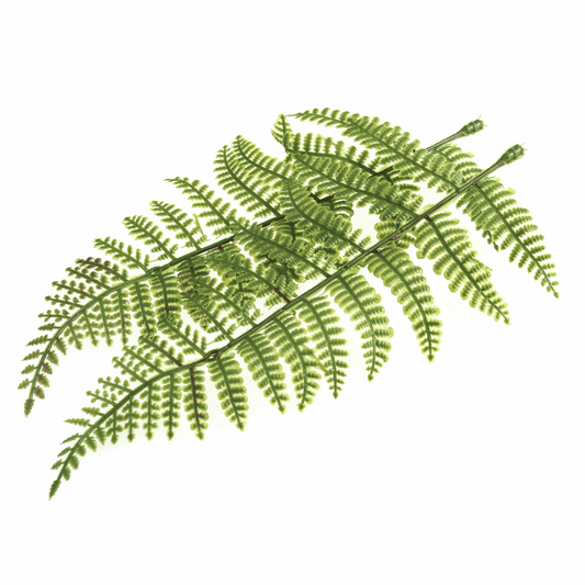 Artificial Fern Leaves - 8cm (Pack of 2)