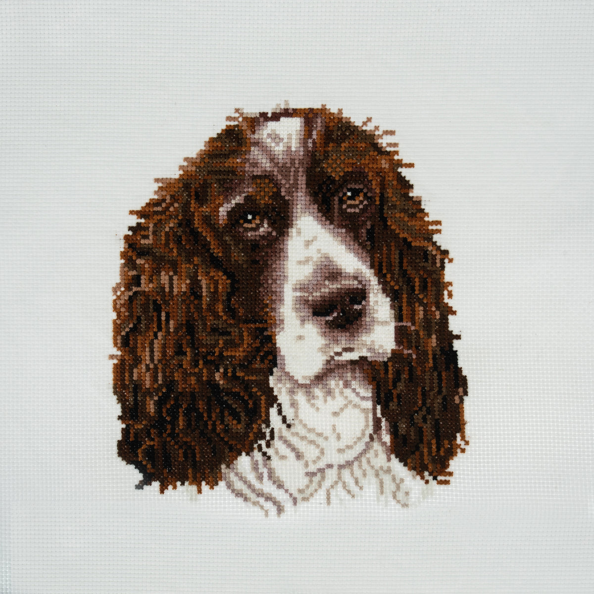 Finished springer spaniel counted cross stitch design