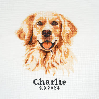 Finished golden labrador retriever counted cross stitch design