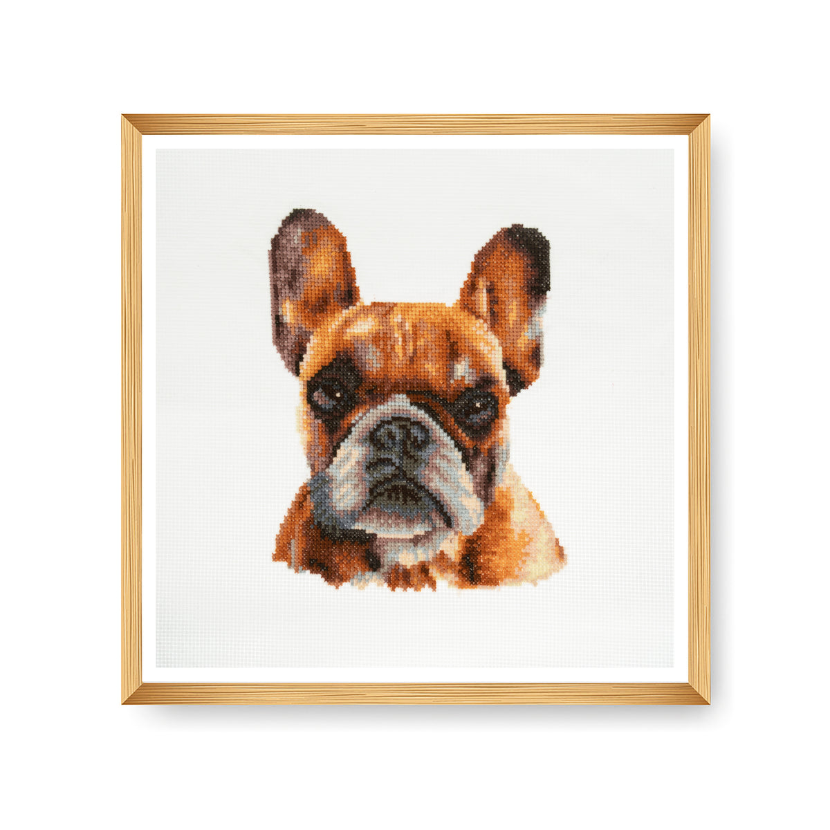 Finished french bulldog counted cross stitch design