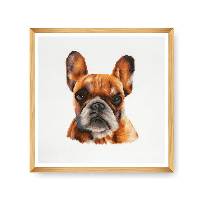 Finished french bulldog counted cross stitch design
