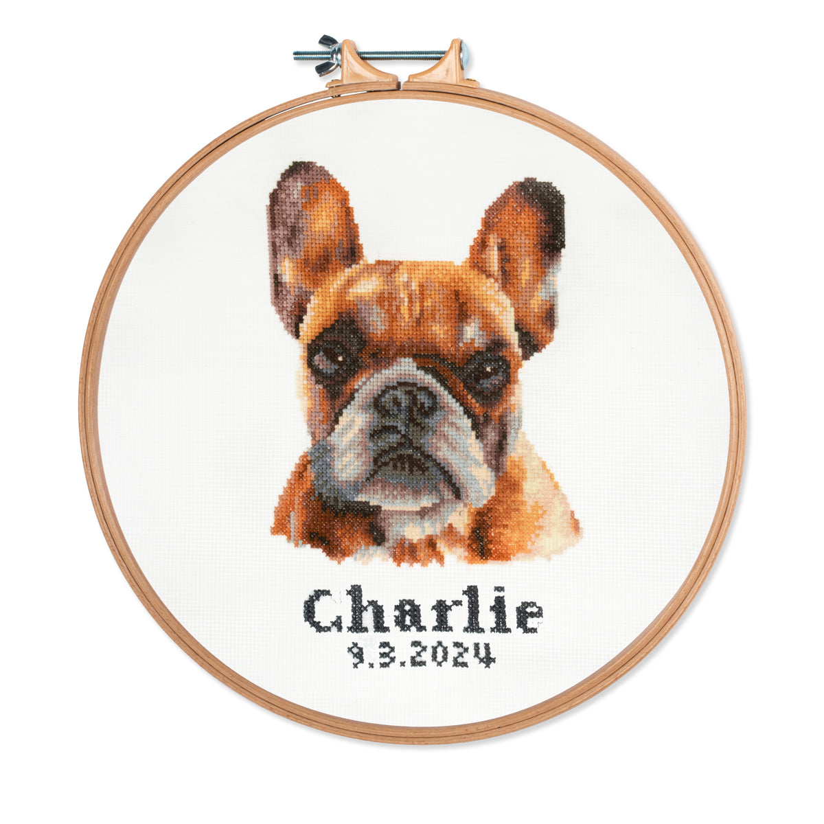 Finished french bulldog counted cross stitch design