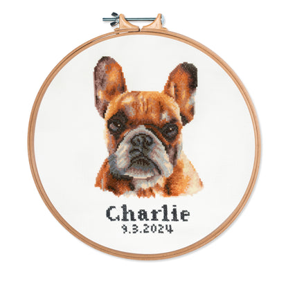 Finished french bulldog counted cross stitch design