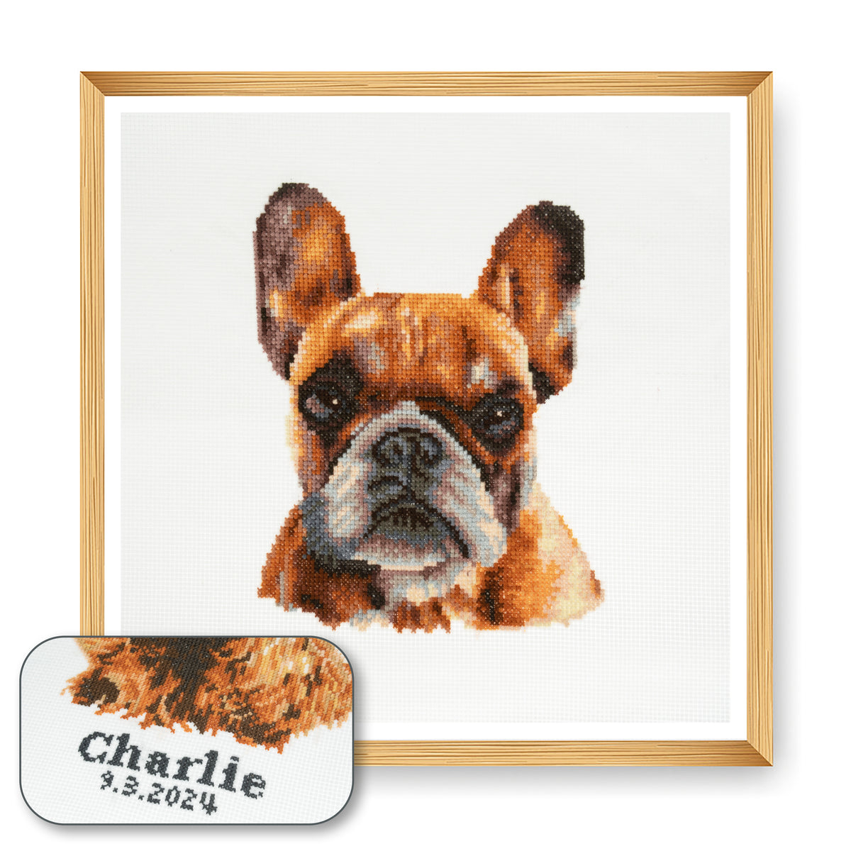 Finished french bulldog counted cross stitch design