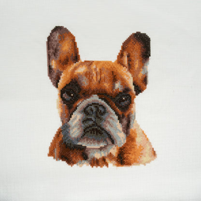 Finished french bulldog counted cross stitch design