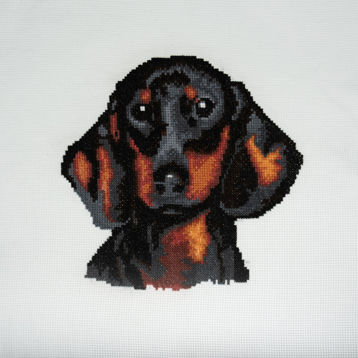 Finished dachshund counted cross stitch design