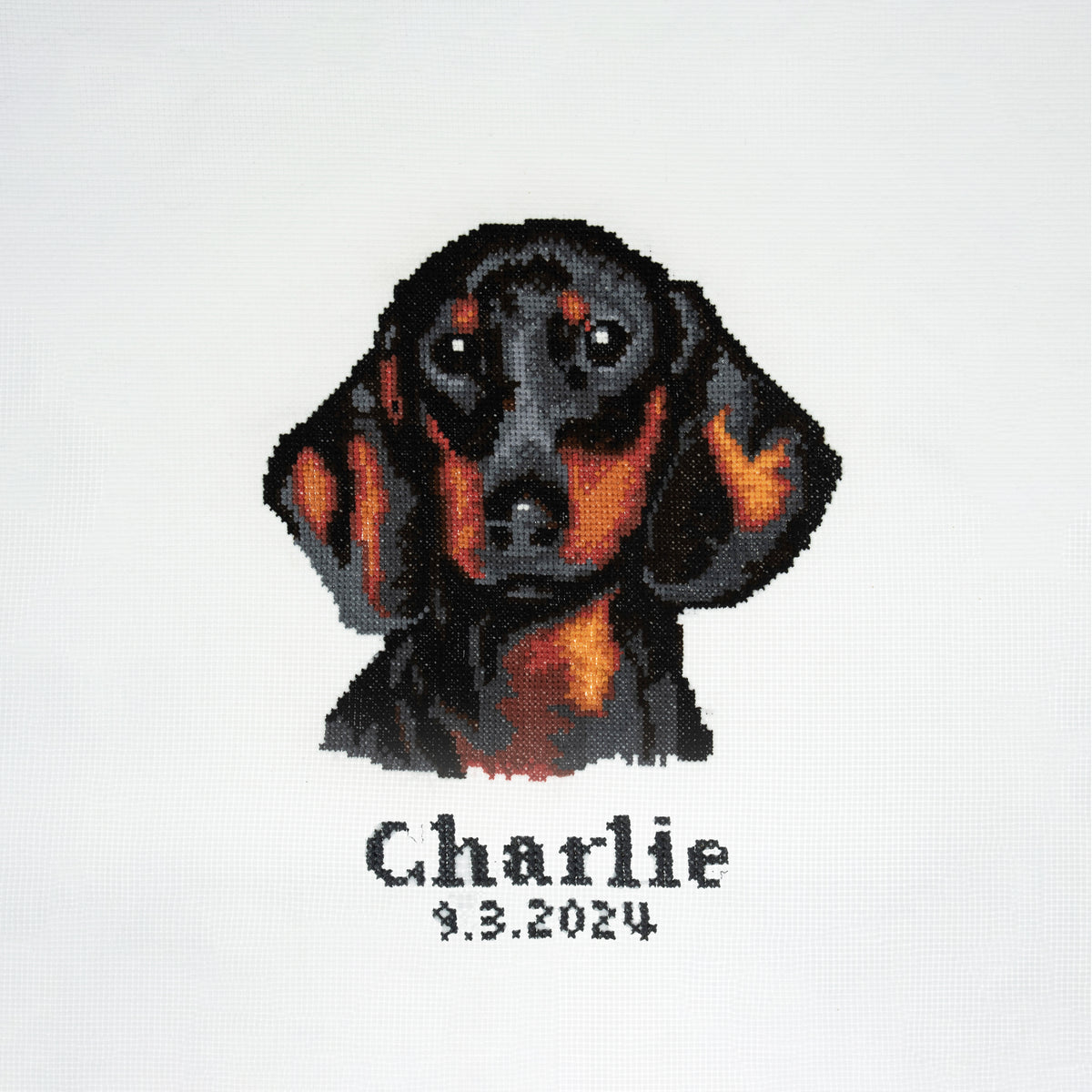 Finished dachshund counted cross stitch design