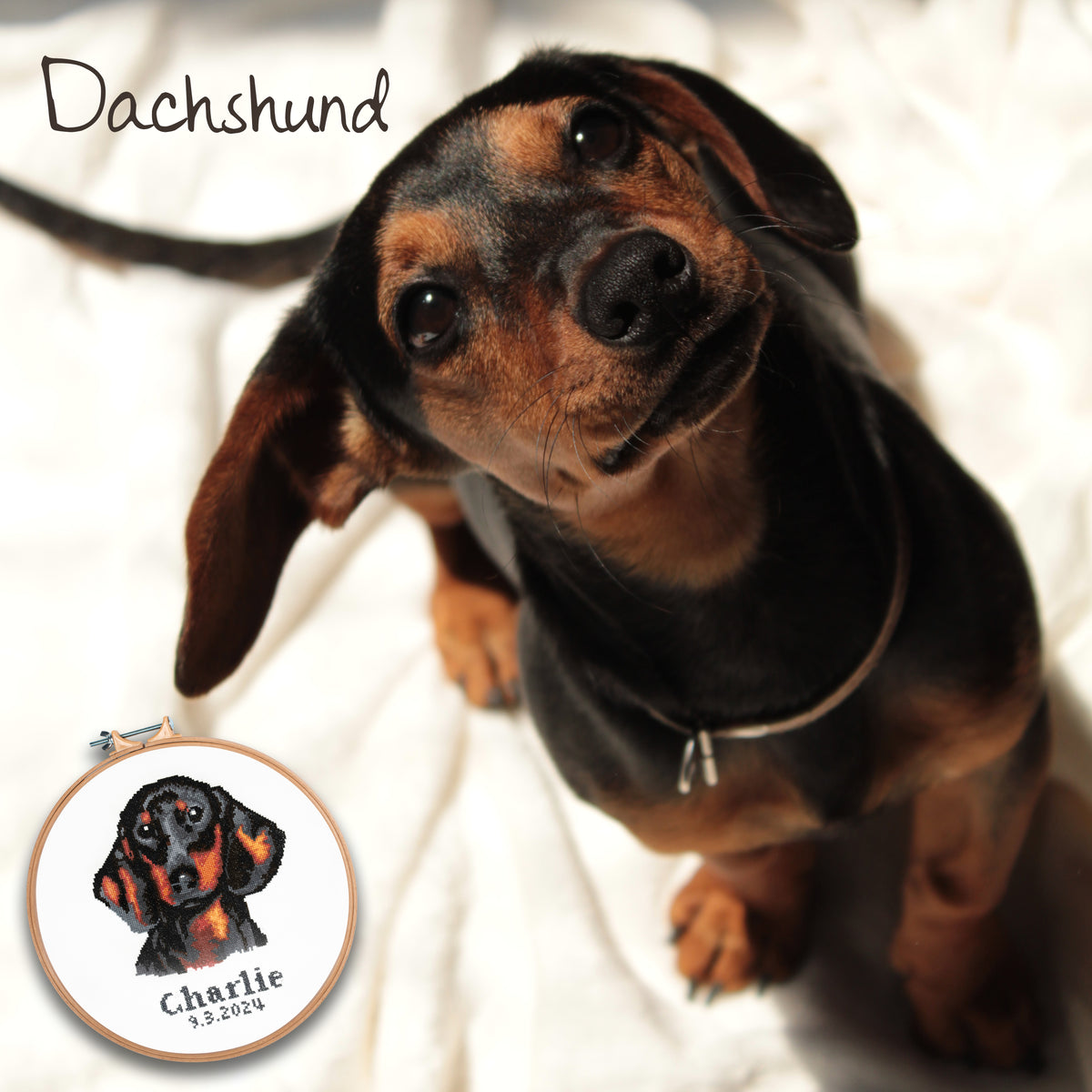 Finished dachshund counted cross stitch design