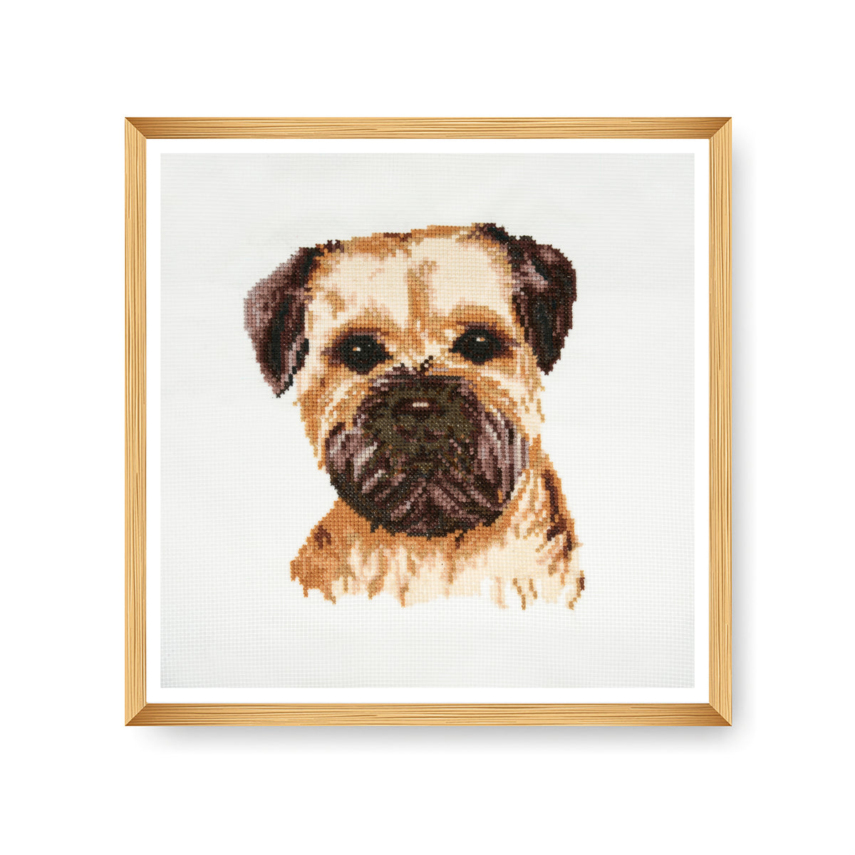 Finished border terrier counted cross stitch design