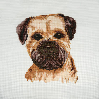 Finished border terrier counted cross stitch design