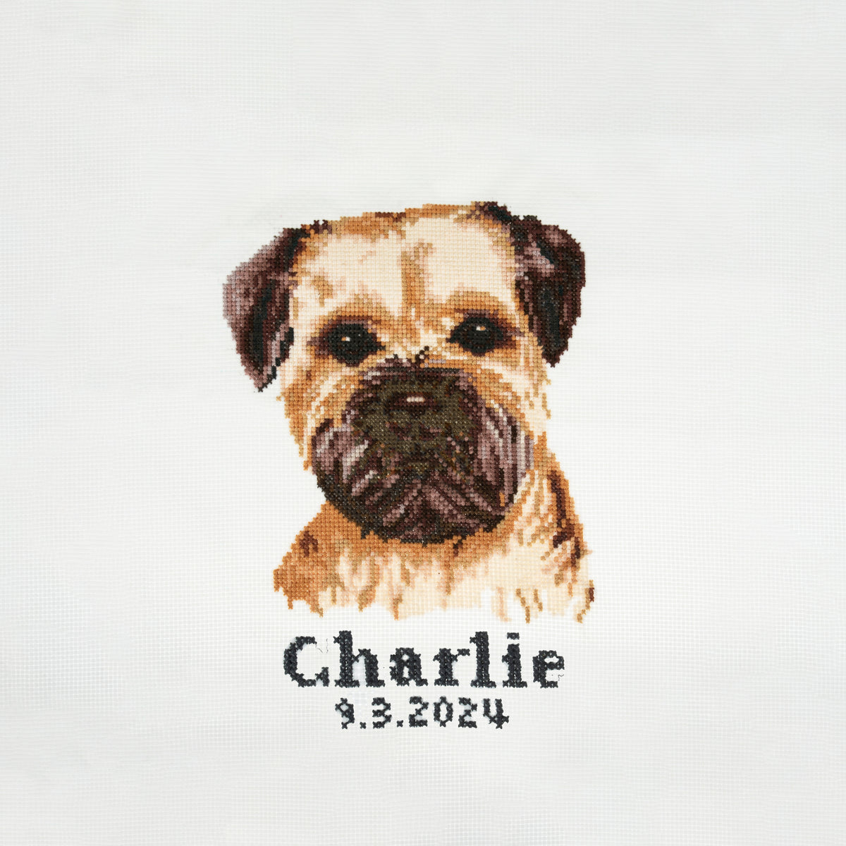 Finished border terrier counted cross stitch design