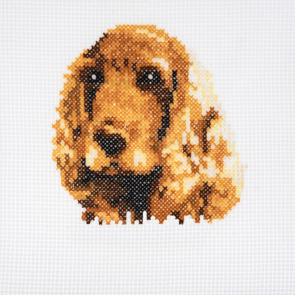 Trimits mini cross stitch kit showing a cocker spaniel