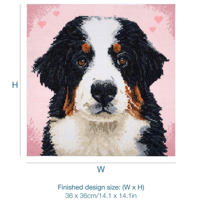 Finished woof counted cross stitch design