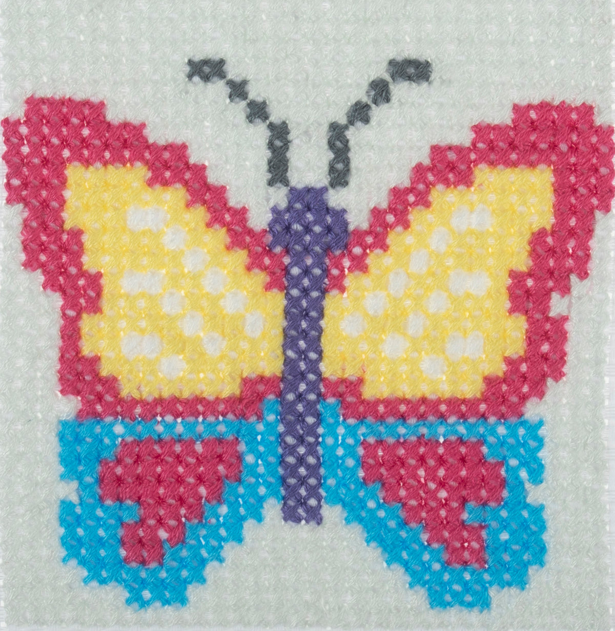 Butterfly counted cross stitch kit