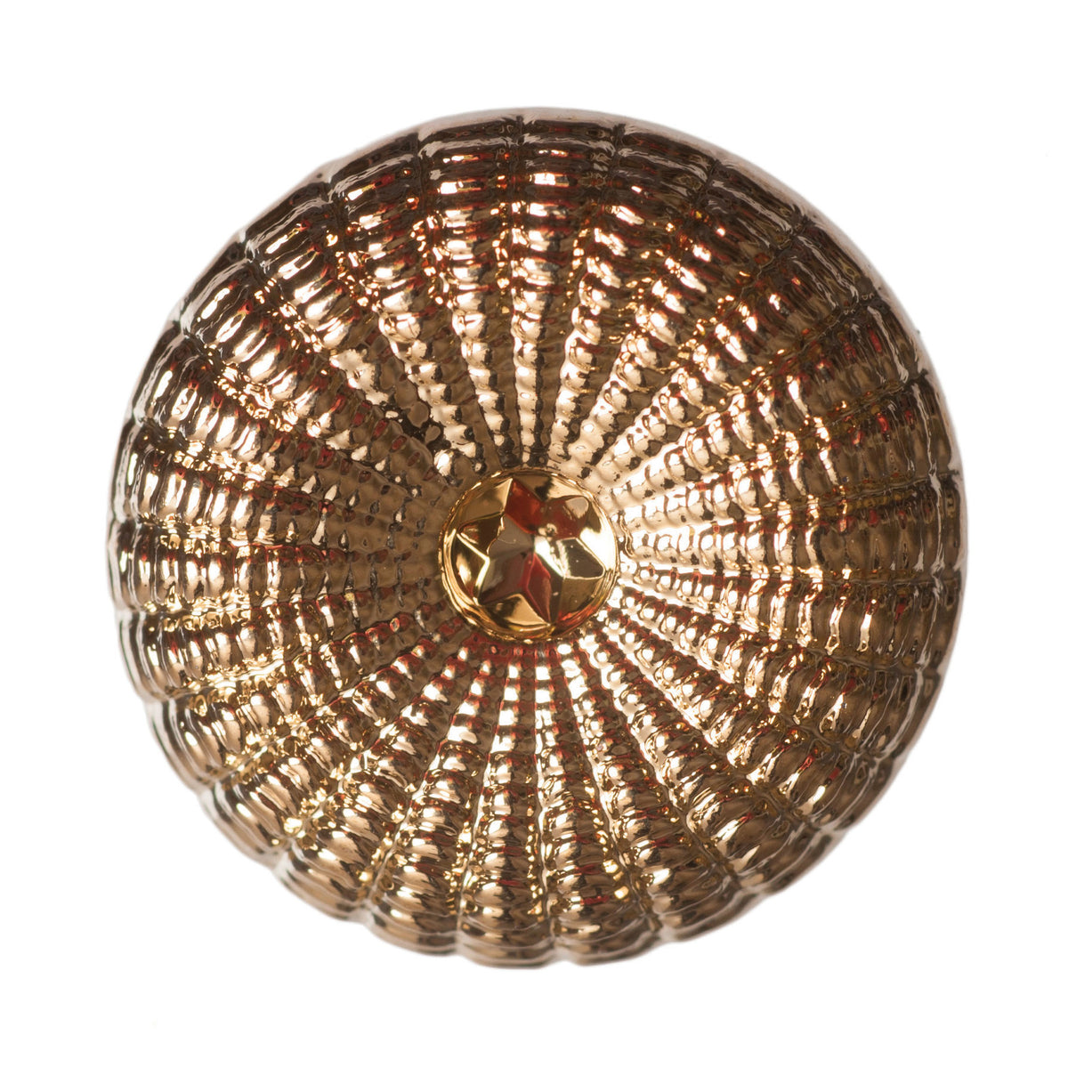 Card of 5 gold Hemline 17.5mm buttons