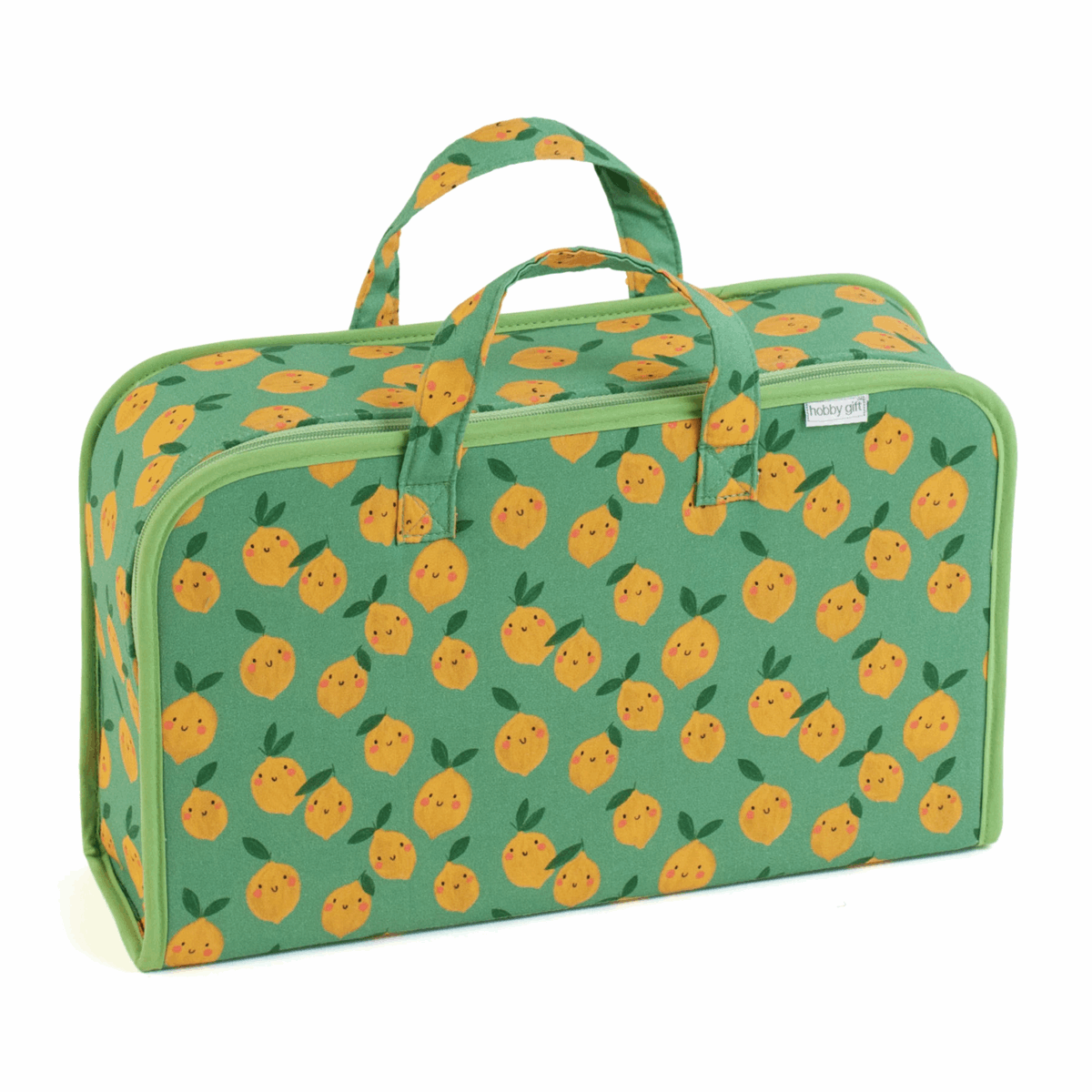 Lemons Project Case
