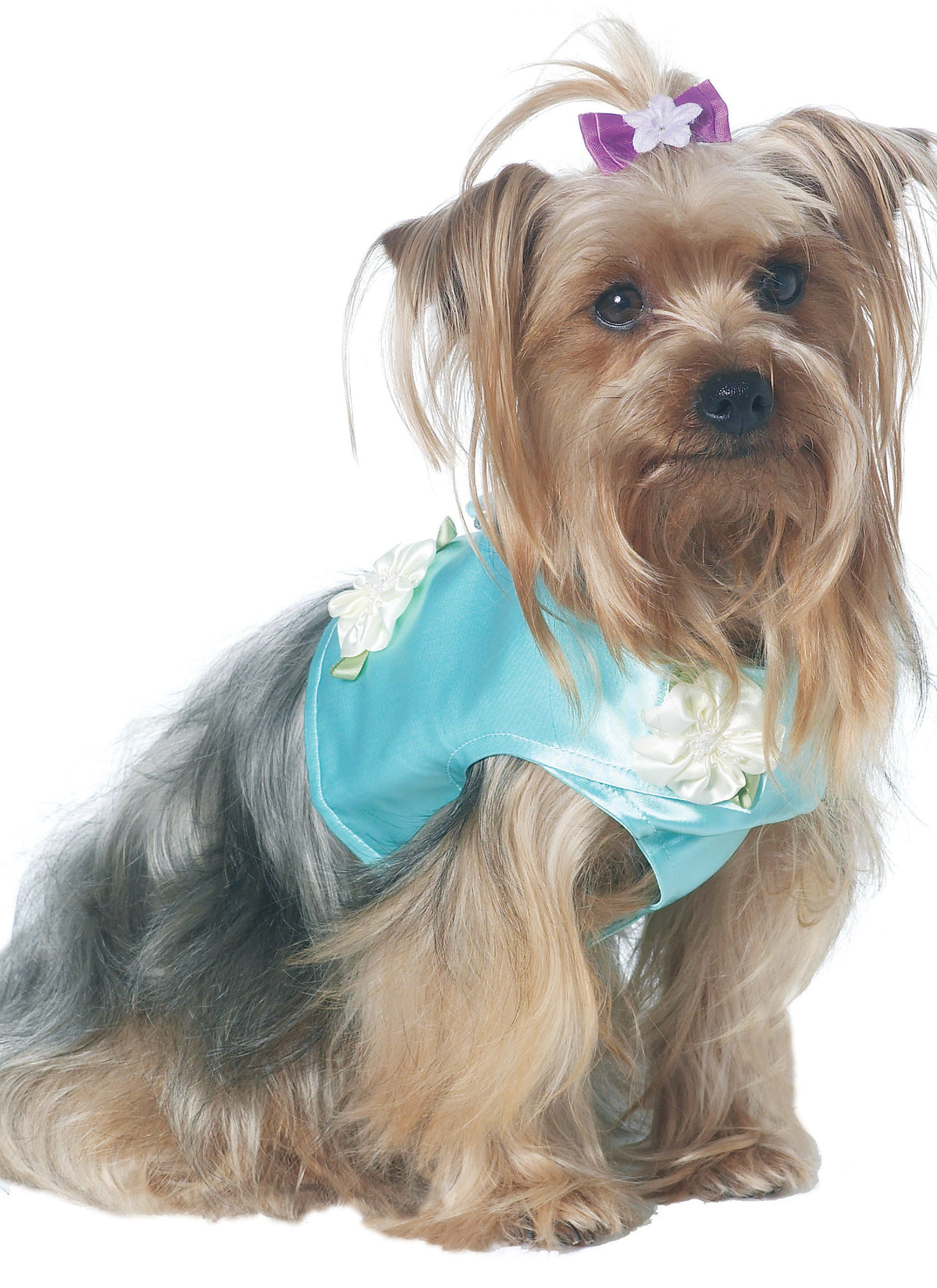 McCall's M6218 pattern envelope showing dog coats and clothes
