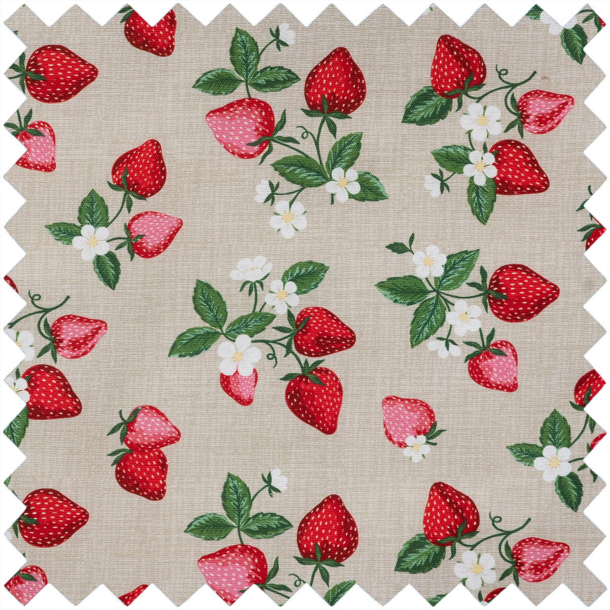 Zipped hard interchangeable needle case with strawberry greenhouse print fabric