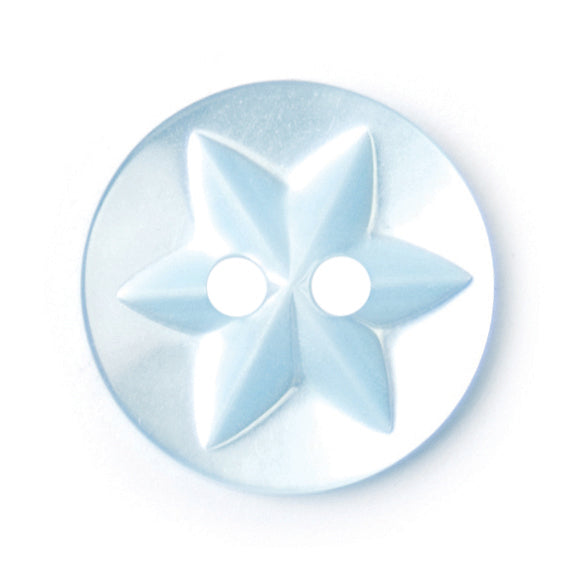 Pale blue two-hole button with star design