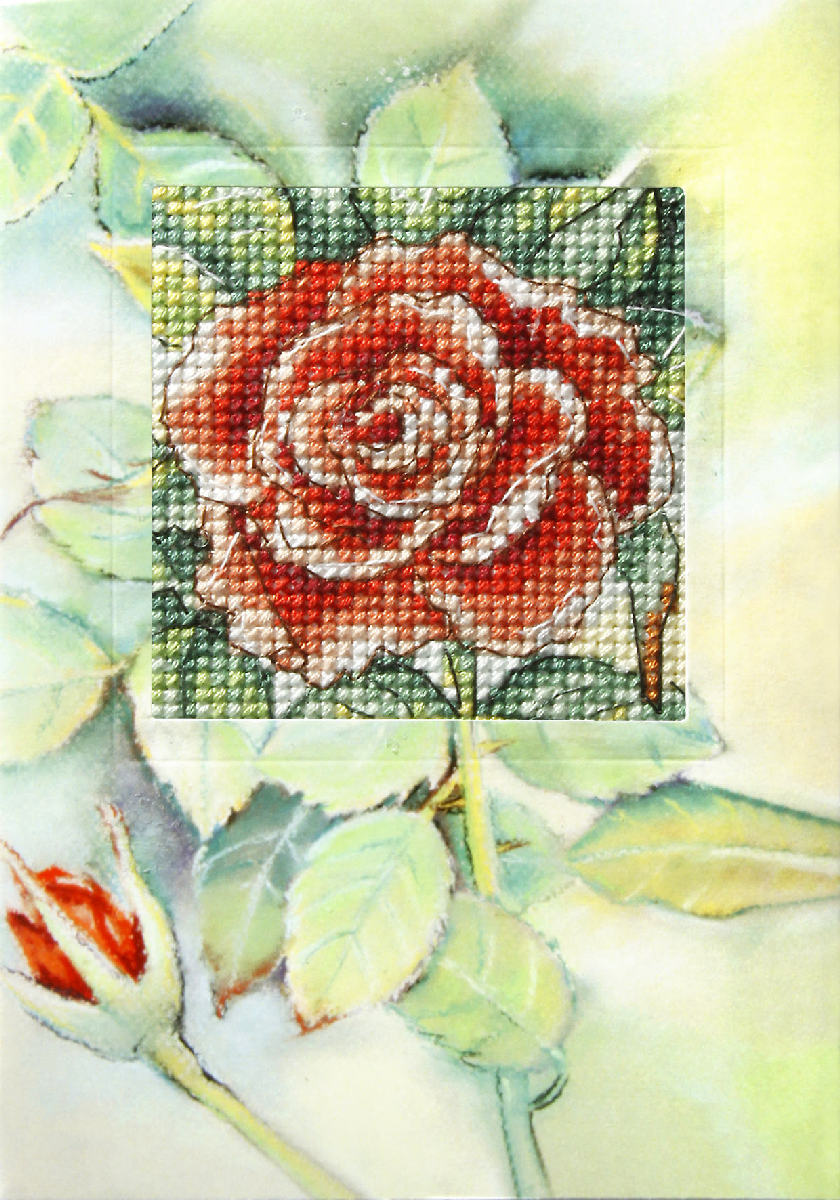 Cross stitch greetings card showing a rose