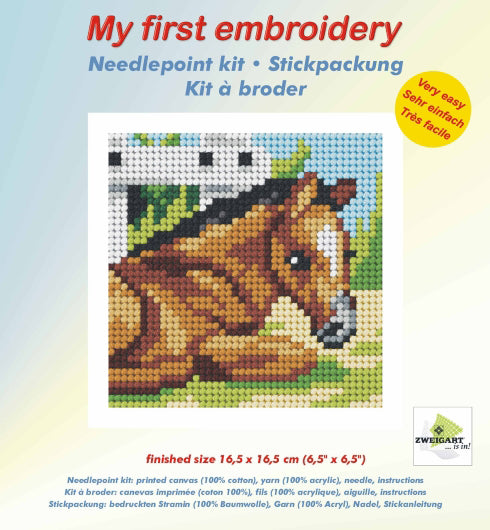 Finished beginner's needlepoint picture showing a in the field
