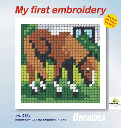 Finished beginner's needlepoint picture showing a horse