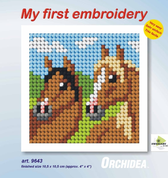 Finished beginner's needlepoint picture showing a horses