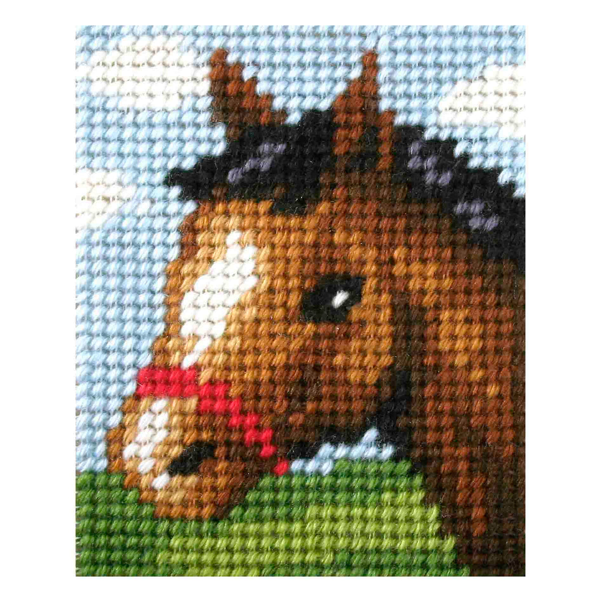 Orchidea My First Embroidery needlepoint kit with printed Friendly Foal design