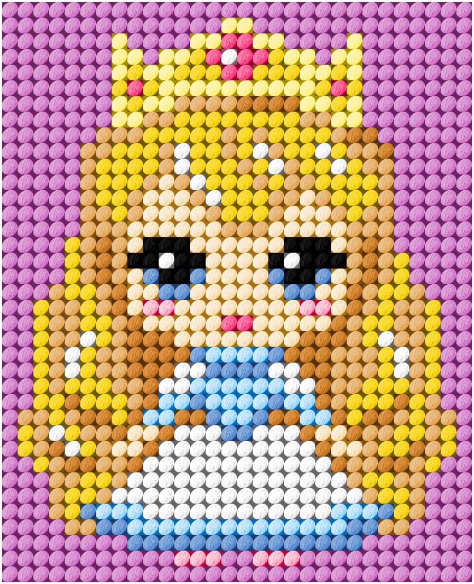 Finished princess needlepoint picture from a beginner's kit