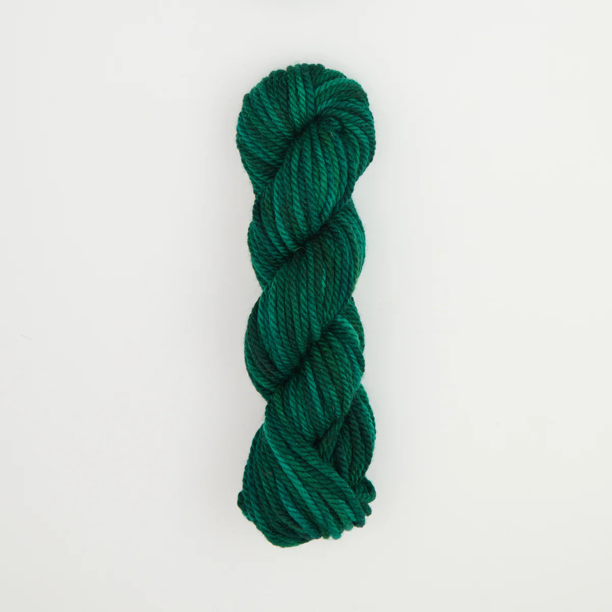 Skein of variegated Evergreen Dark rug weight punch needle wool yarn