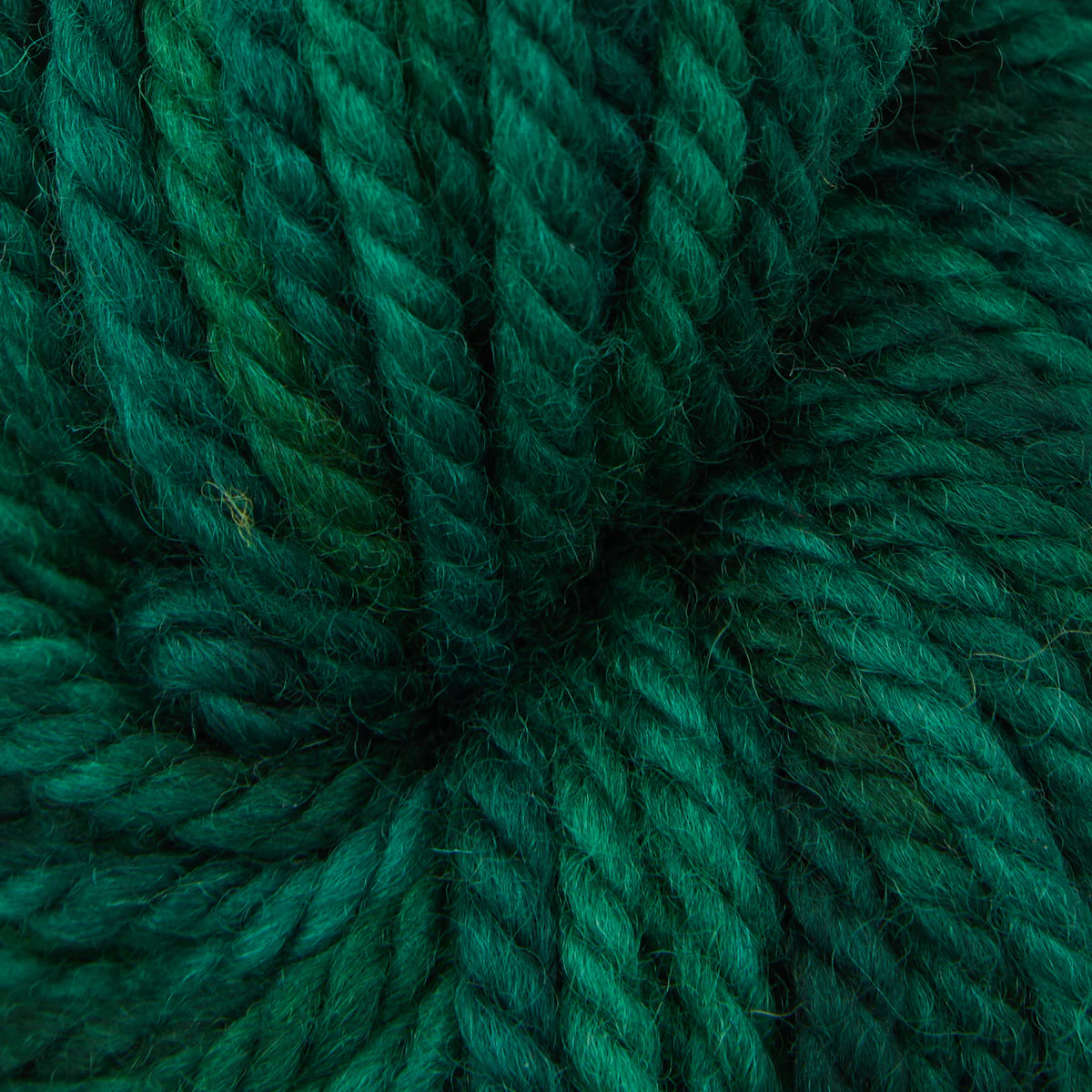 Skein of variegated Evergreen Dark rug weight punch needle wool yarn