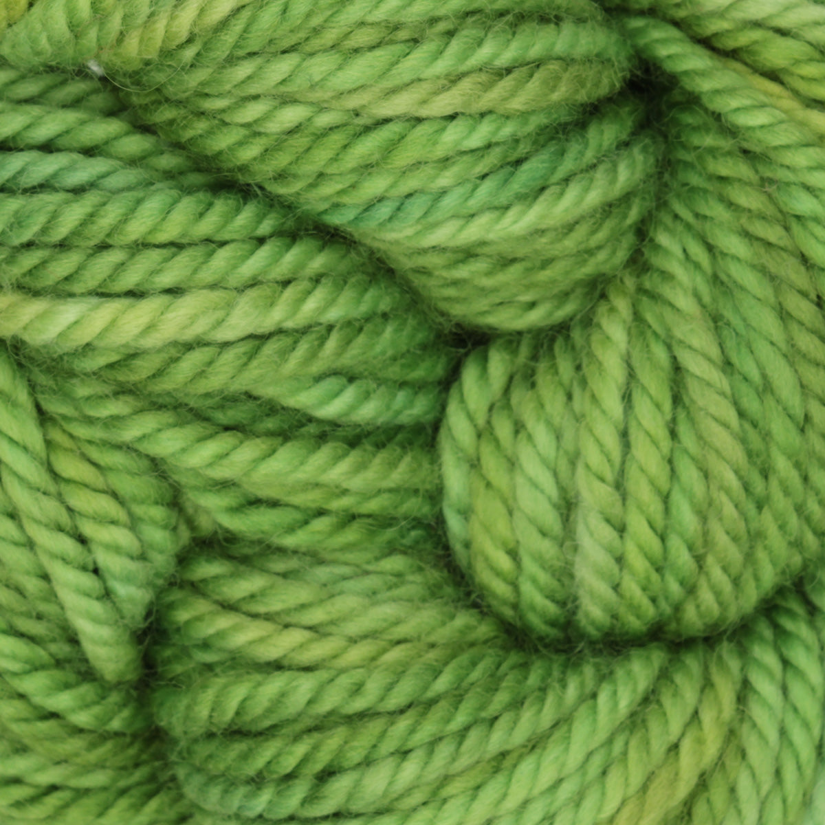 Skein of variegated Leaf Me Alone rug weight punch needle wool yarn