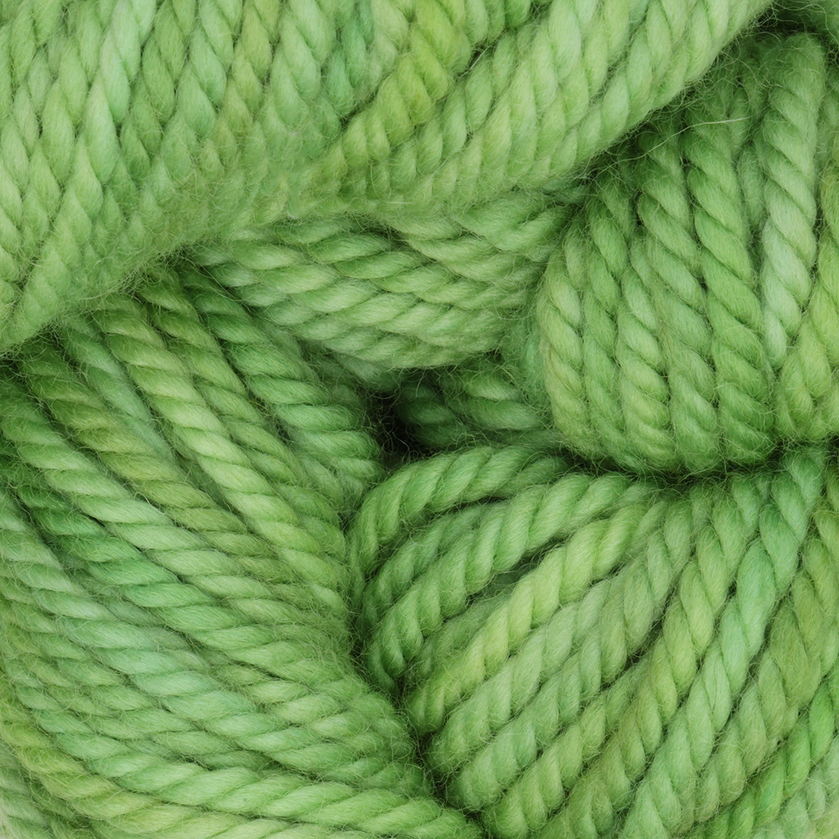 Skein of variegated Spring Buds punch needle rug yarn