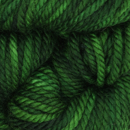 Skein of variegated Club Moss Dark rug weight punch needle wool yarn